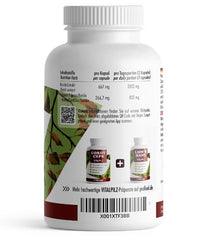 ProFuel - Reishi Mushroom - 180 Capsules