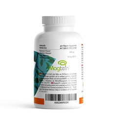 ProFuel - Magnesium L-Threonate Magtein - 120 Capsules