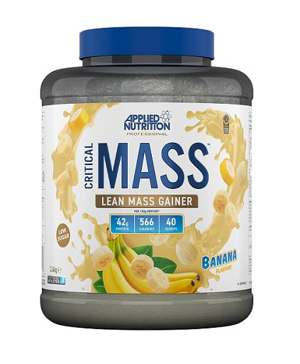 Applied - Critical Mass Professional - 2400G
