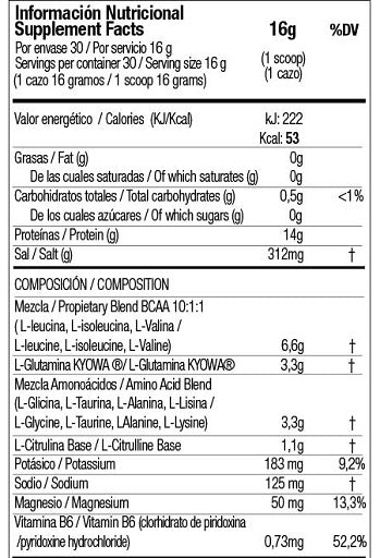 Zoomad - Caretaker BCAA - 480G
