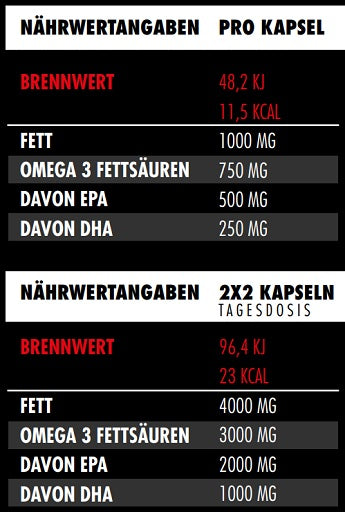 Big Zone - Omega 3 Fury Triglyceride - 300 Capsules