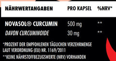 Big Zone - NovaSol Curcumin - 90 Liquid Capsules