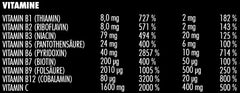 Big Zone - Vitafuse - 750G