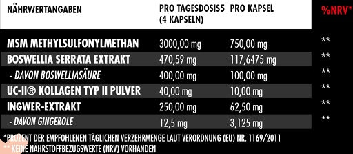Big Zone - Joint Protect 2.0 - 120 Capsules