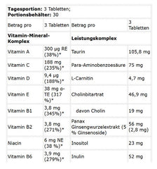 Kevin Levrone - Anabolic Vita Formula - 90 Tablets